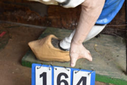 164-3