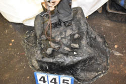 445-3