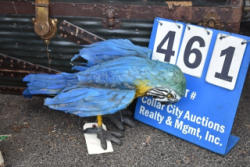 461