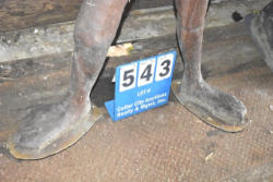 543-4