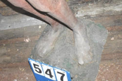 547-2