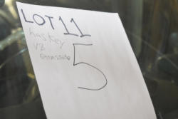11-19