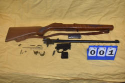 HUGE Firearm Parts Kit Auction